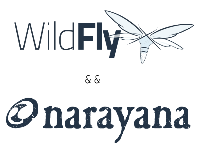 wfly narayana